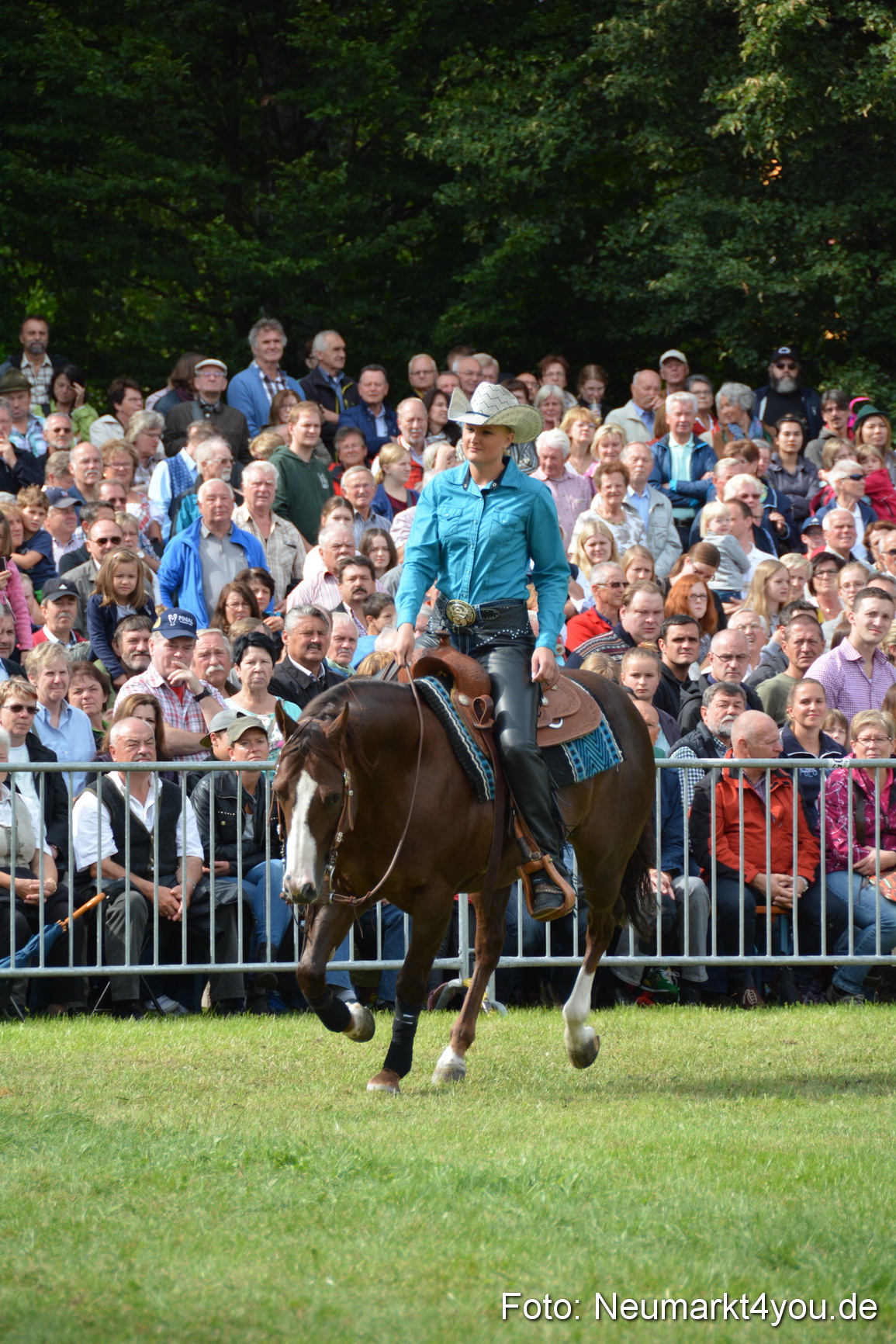 Pferdeschau JURA Volksfest 180814 0217