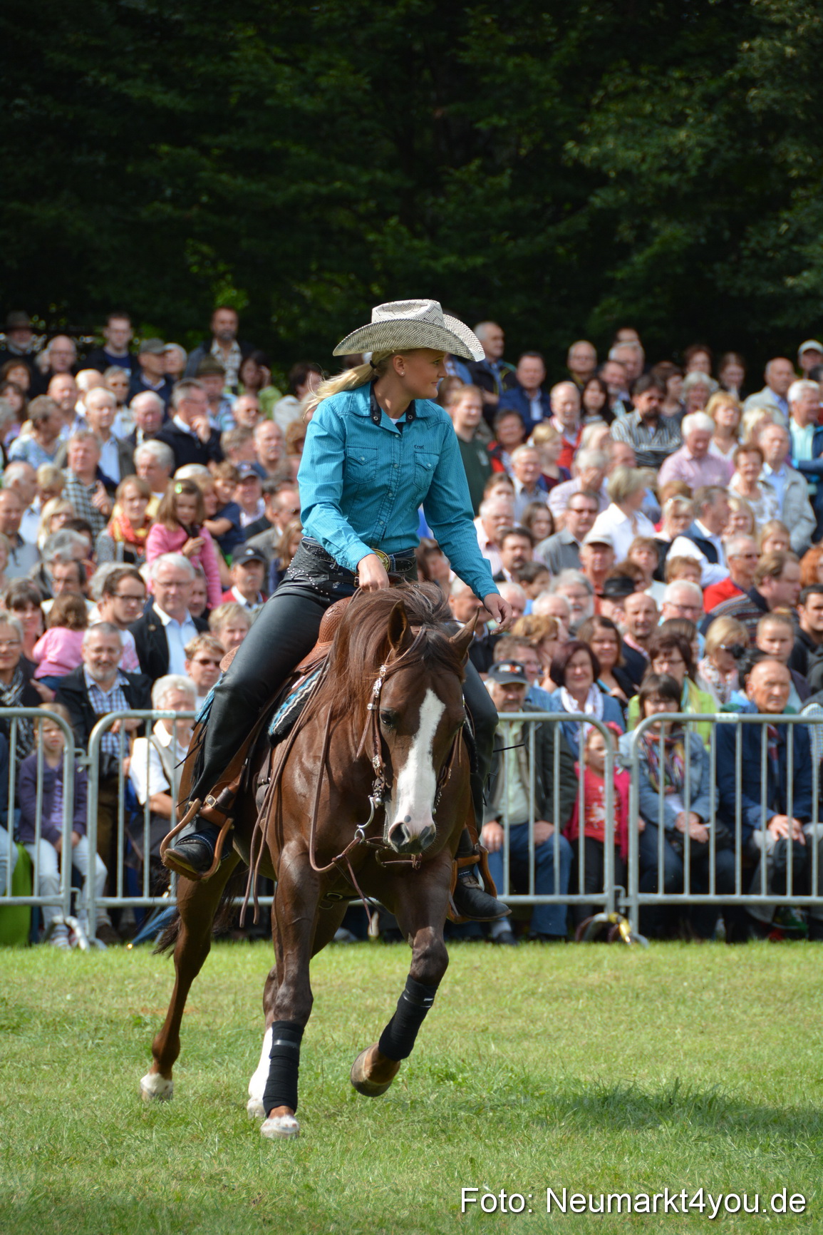 Pferdeschau JURA Volksfest 180814 0218