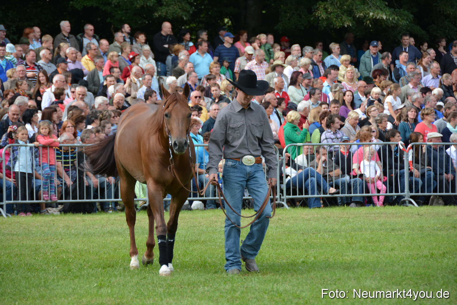 Pferdeschau JURA Volksfest 180814 0219