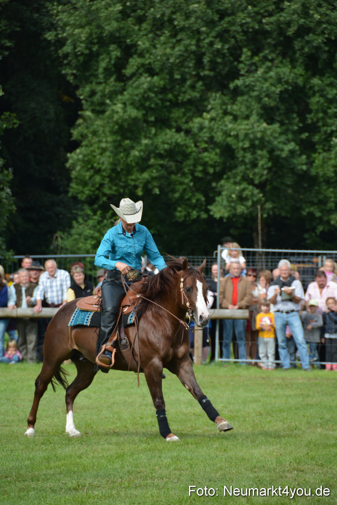 Pferdeschau JURA Volksfest 180814 0220
