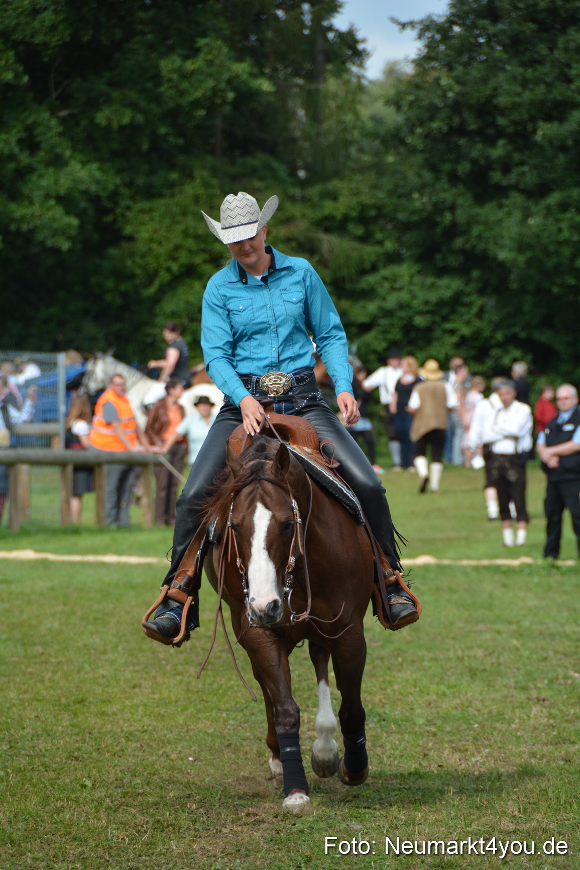 Pferdeschau JURA Volksfest 180814 0221