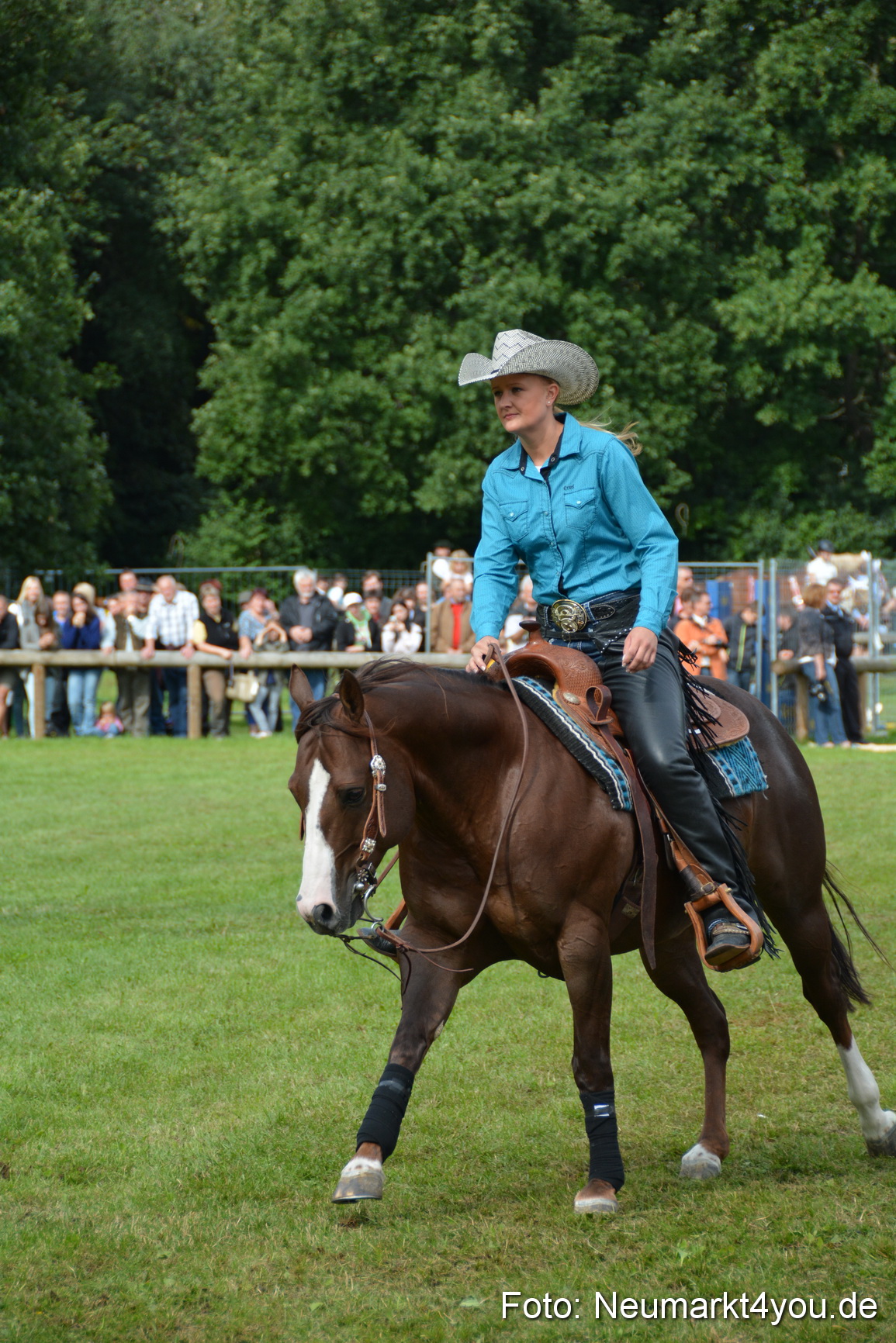 Pferdeschau JURA Volksfest 180814 0222