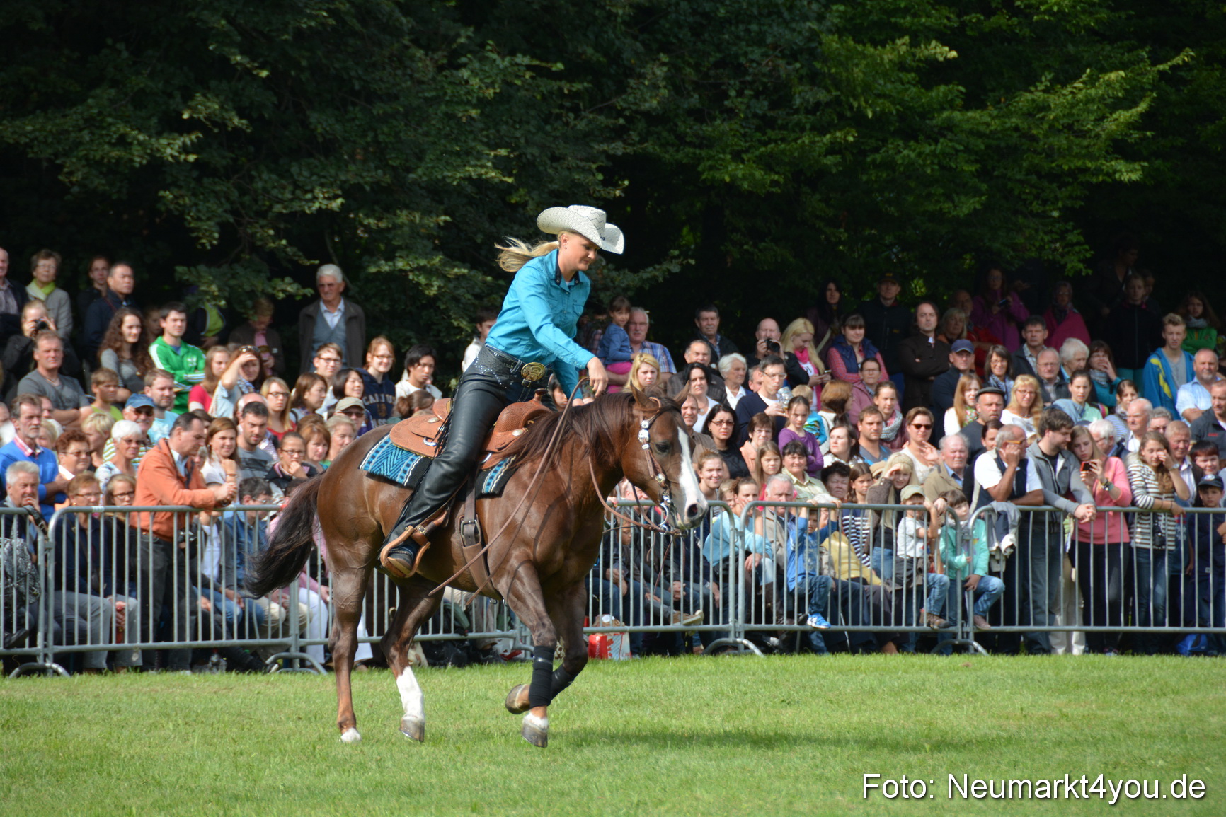 Pferdeschau JURA Volksfest 180814 0223