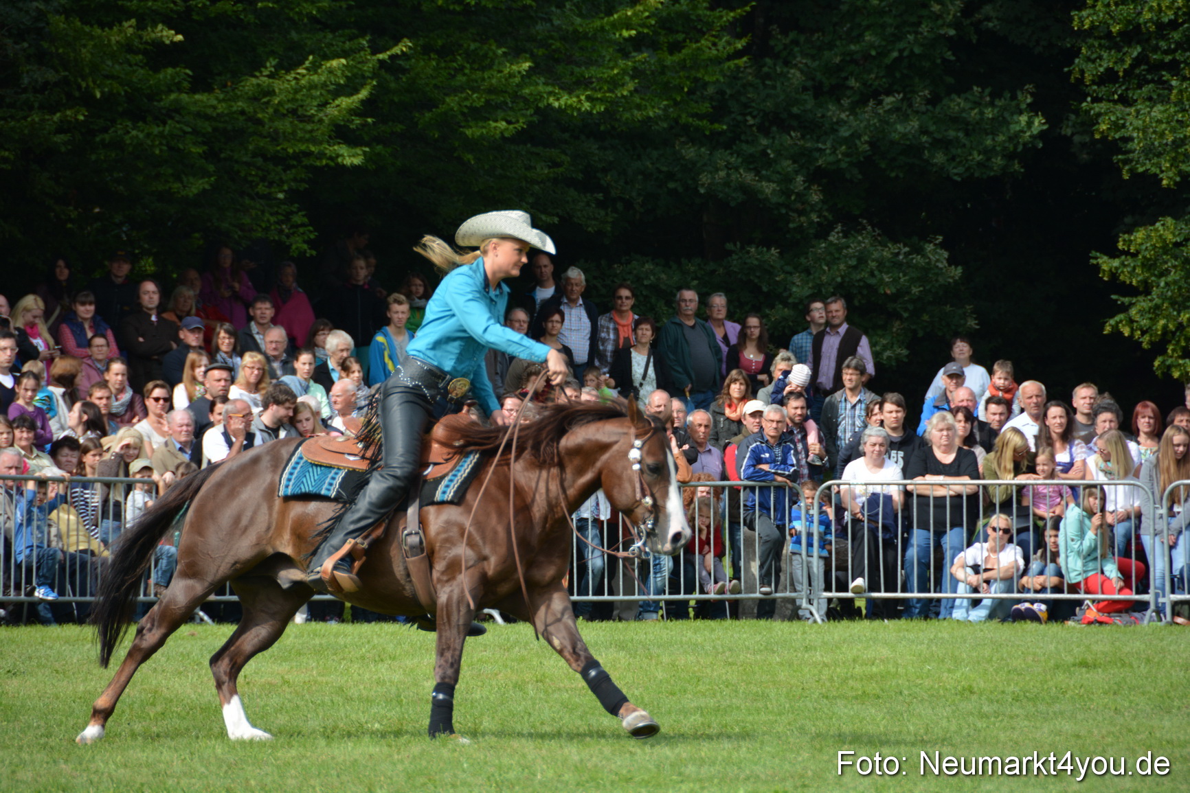 Pferdeschau JURA Volksfest 180814 0224