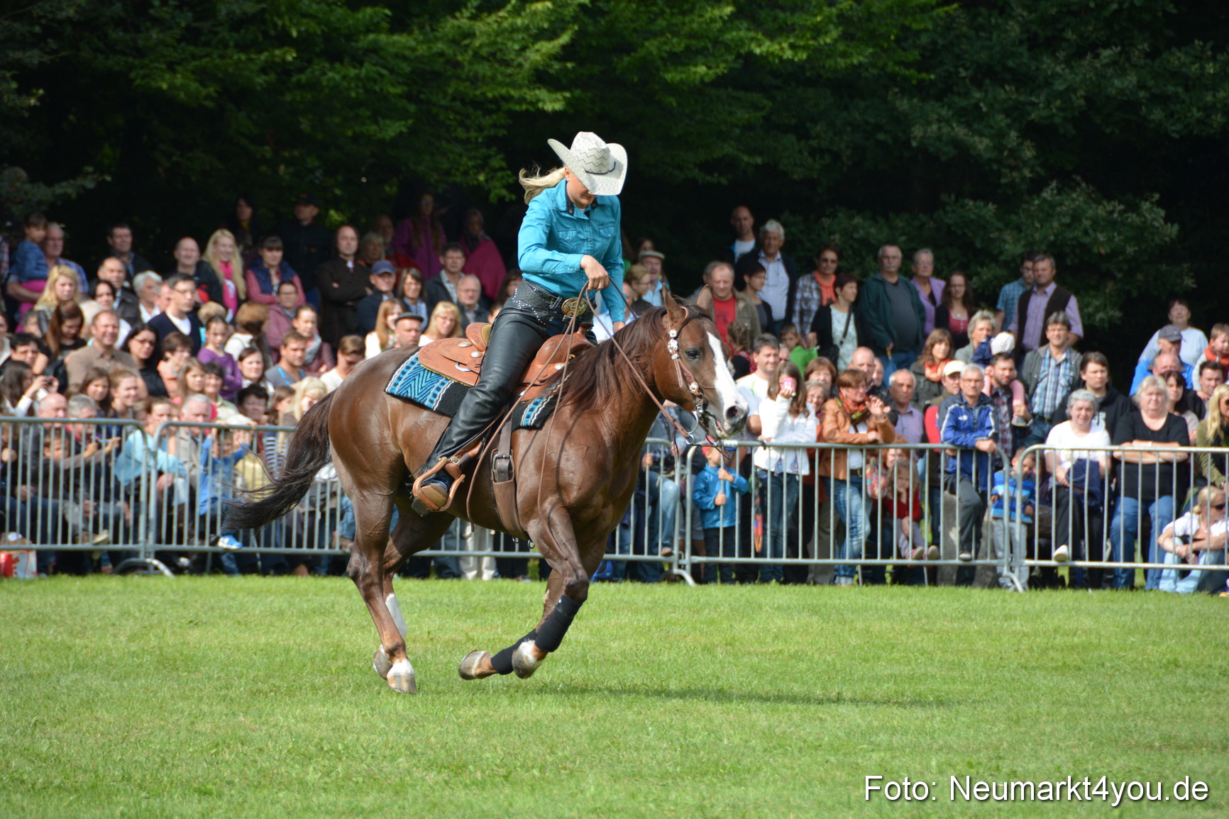 Pferdeschau JURA Volksfest 180814 0225