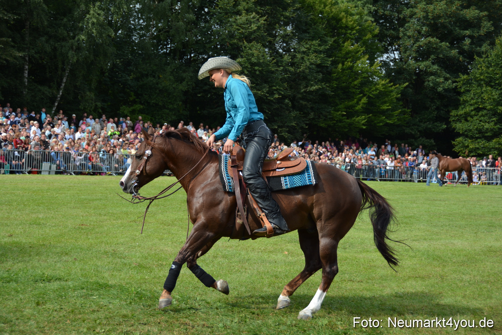 Pferdeschau JURA Volksfest 180814 0226