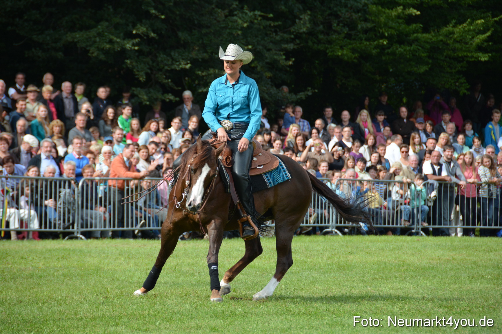 Pferdeschau JURA Volksfest 180814 0227