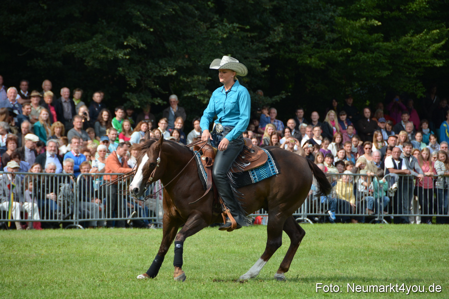 Pferdeschau JURA Volksfest 180814 0228