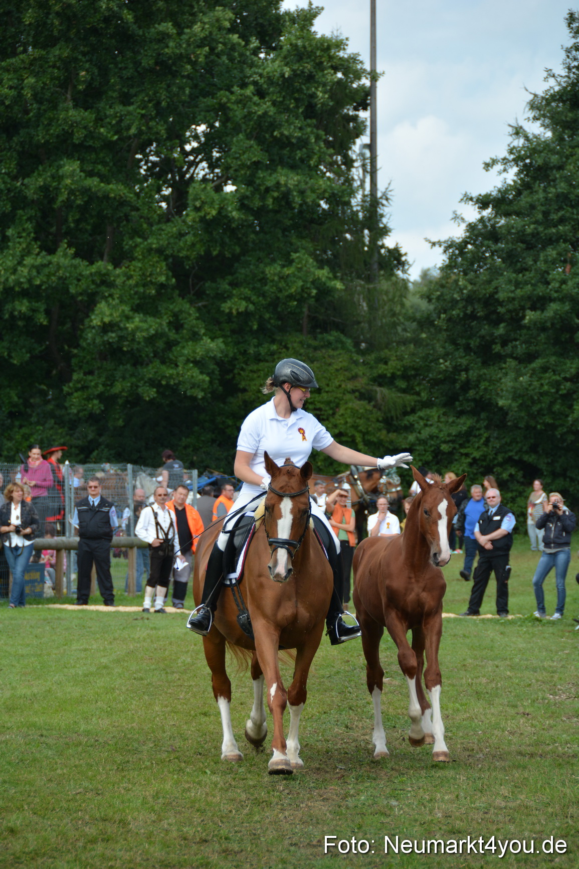 Pferdeschau JURA Volksfest 180814 0239