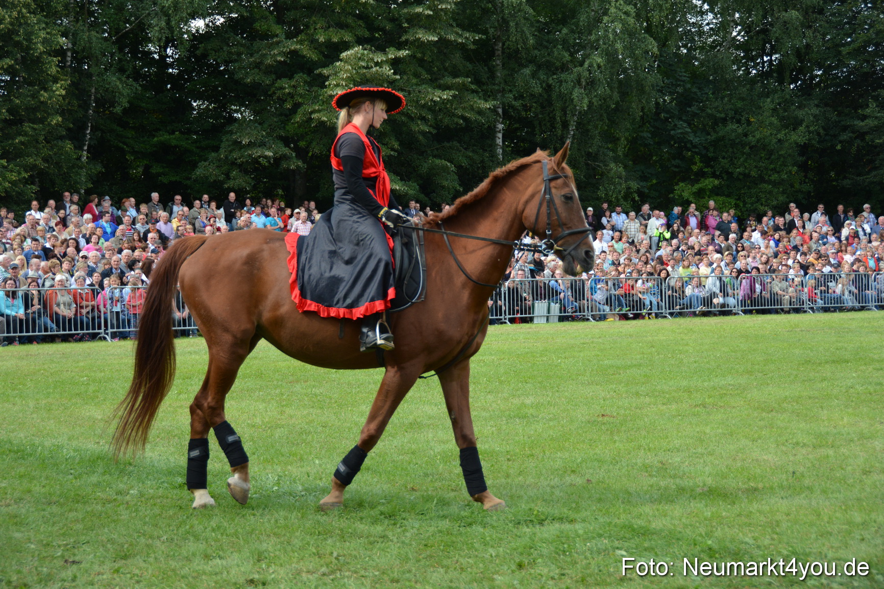 Pferdeschau JURA Volksfest 180814 0242