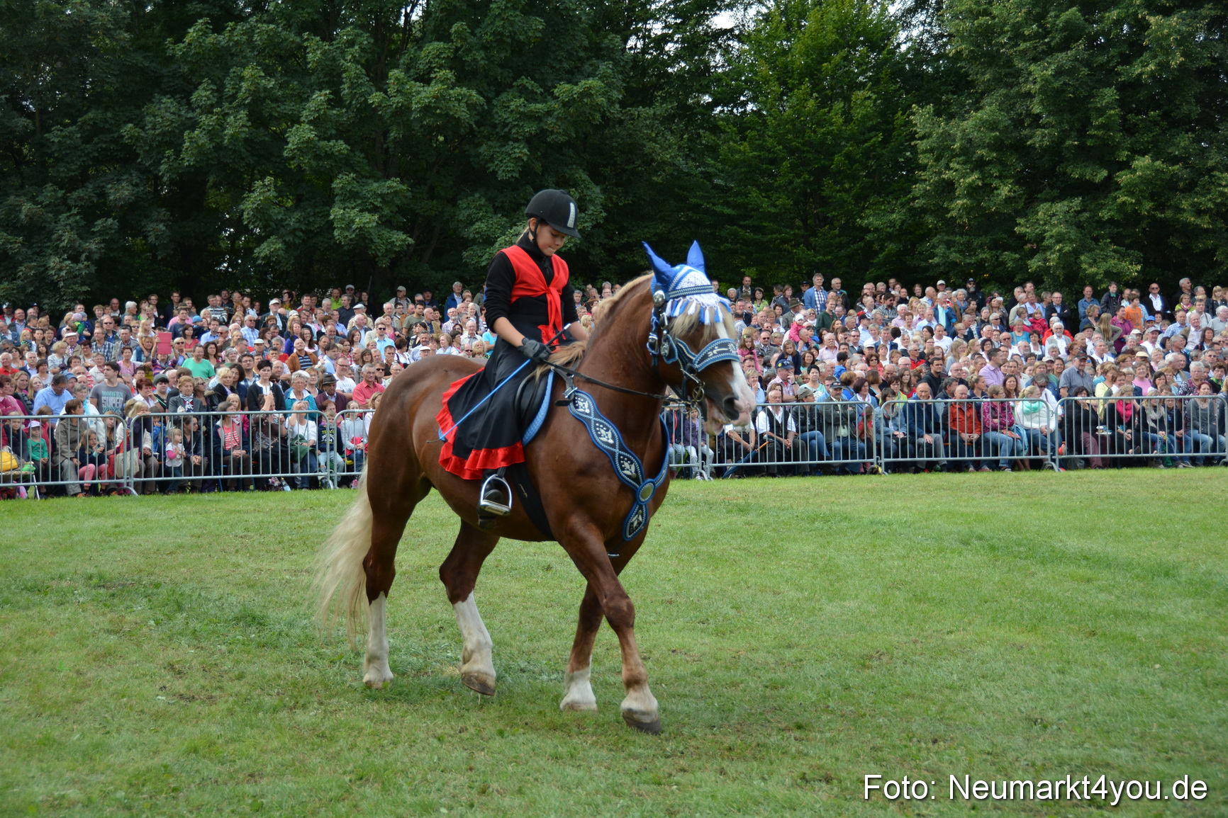 Pferdeschau JURA Volksfest 180814 0243