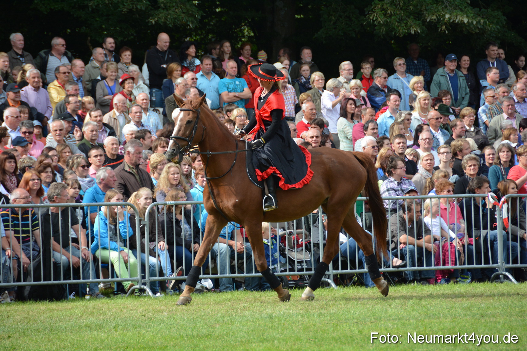 Pferdeschau JURA Volksfest 180814 0245