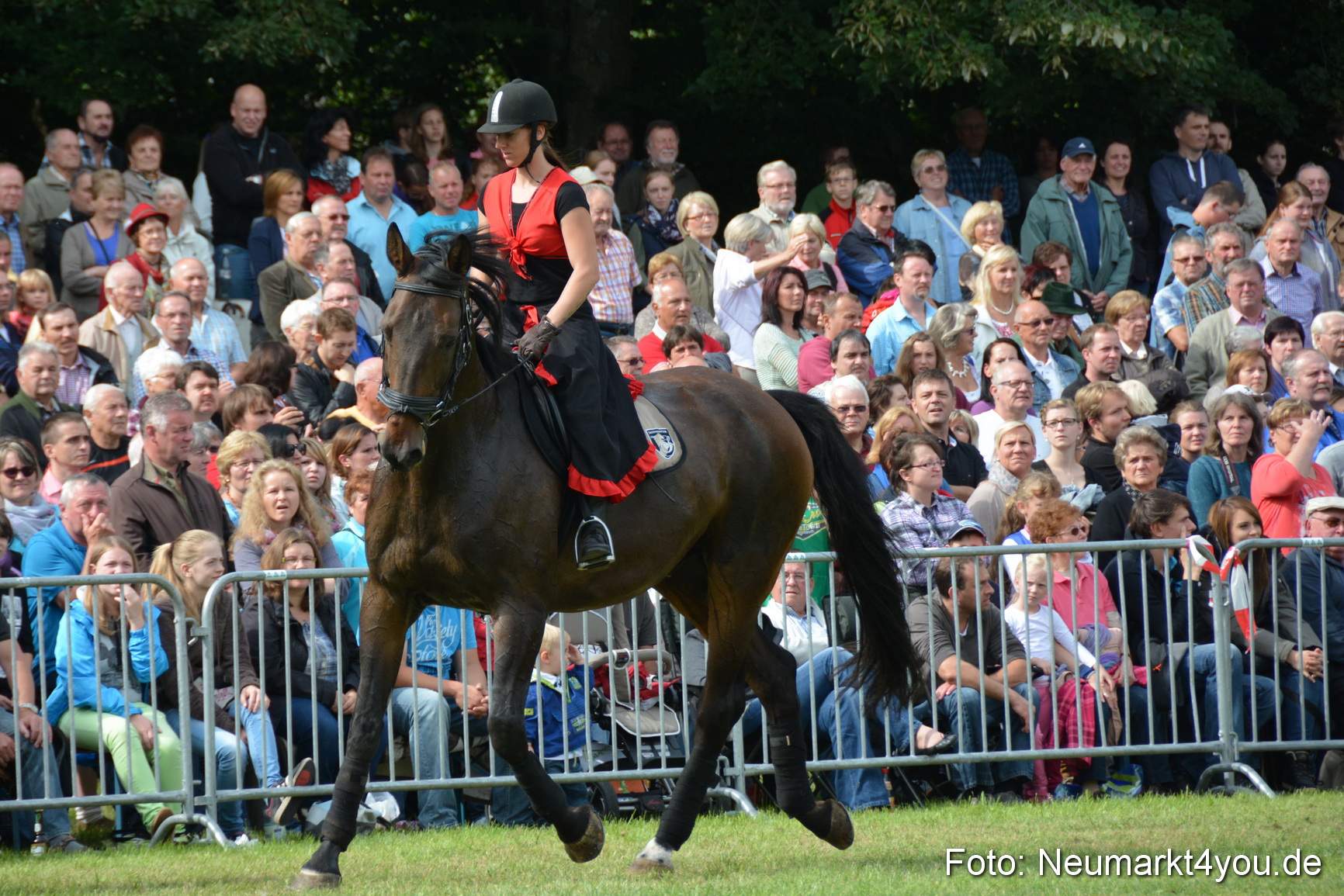 Pferdeschau JURA Volksfest 180814 0246