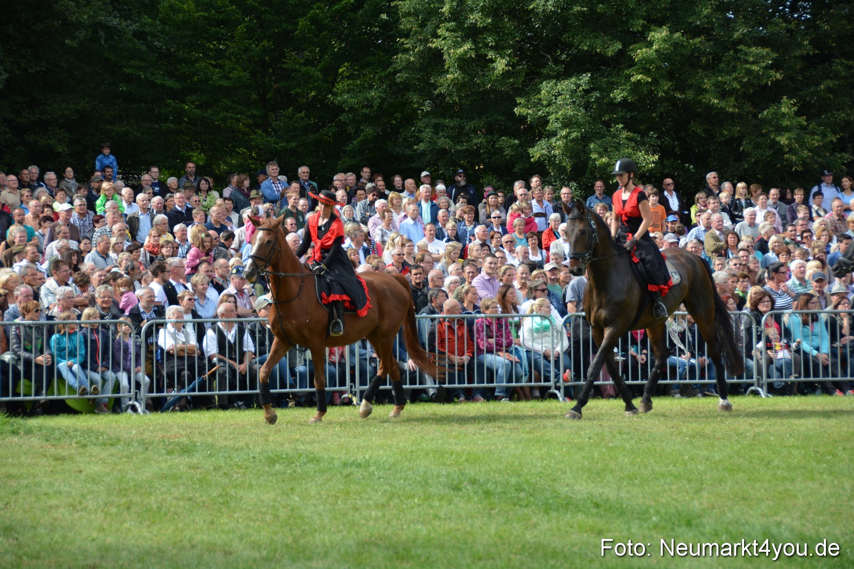 Pferdeschau JURA Volksfest 180814 0247