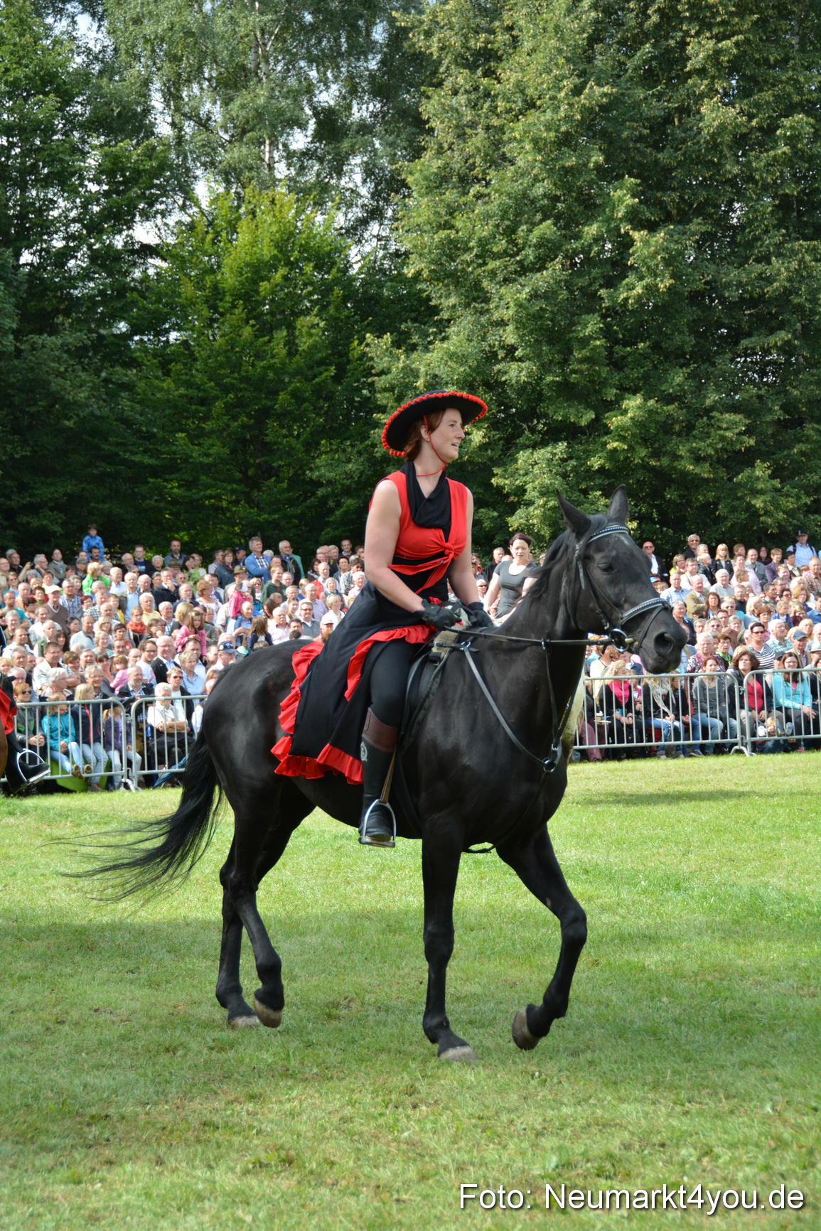Pferdeschau JURA Volksfest 180814 0248