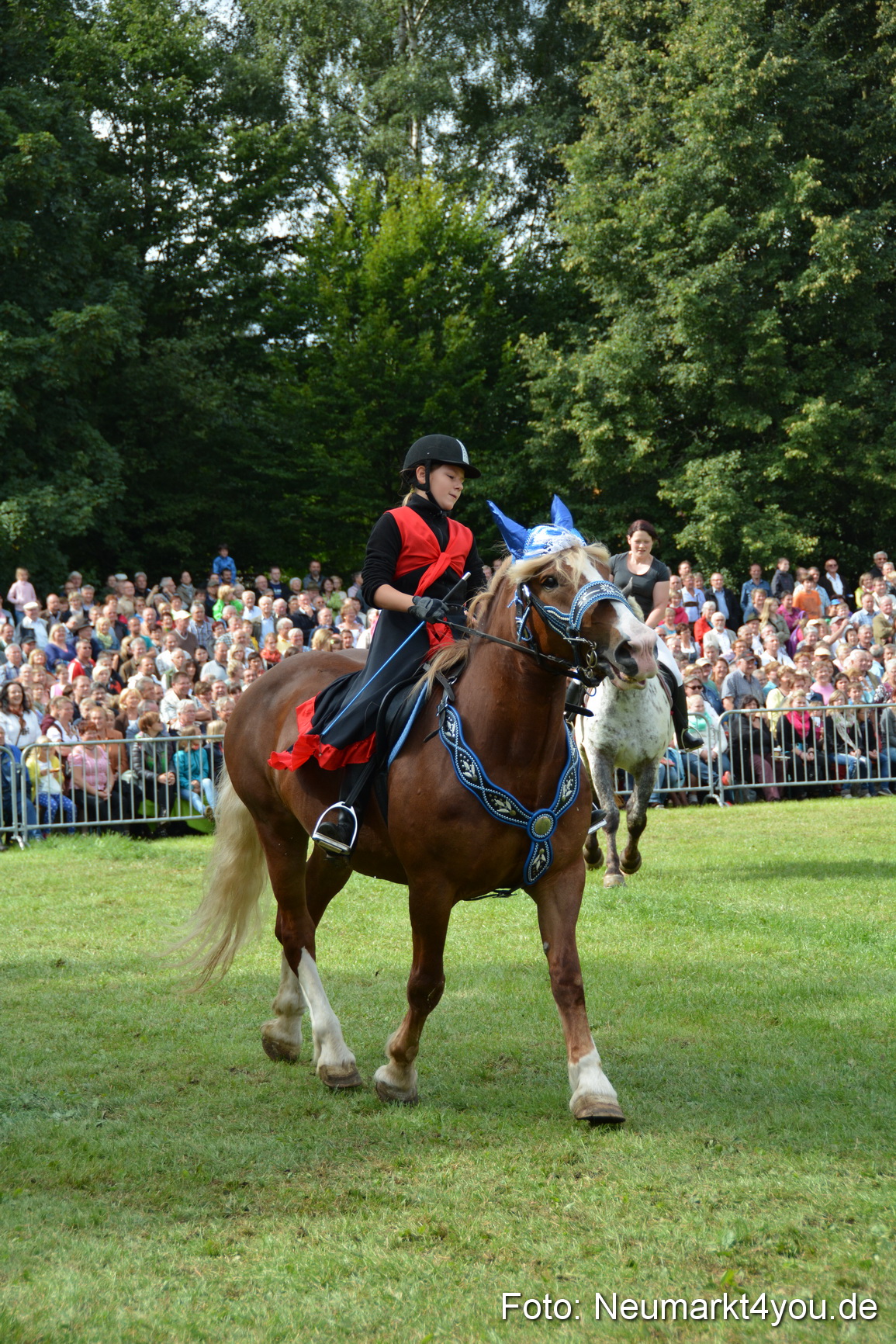 Pferdeschau JURA Volksfest 180814 0249