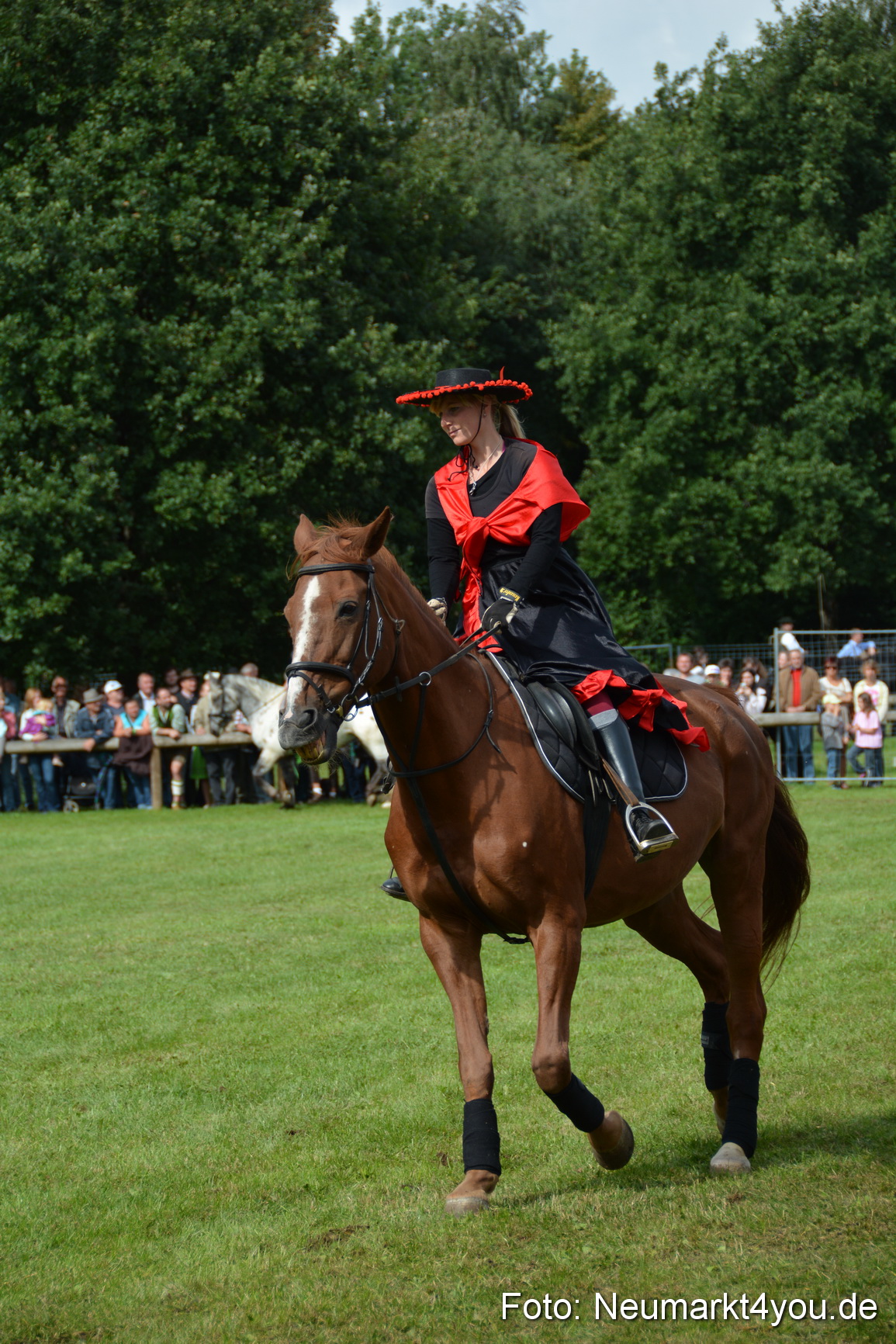 Pferdeschau JURA Volksfest 180814 0251