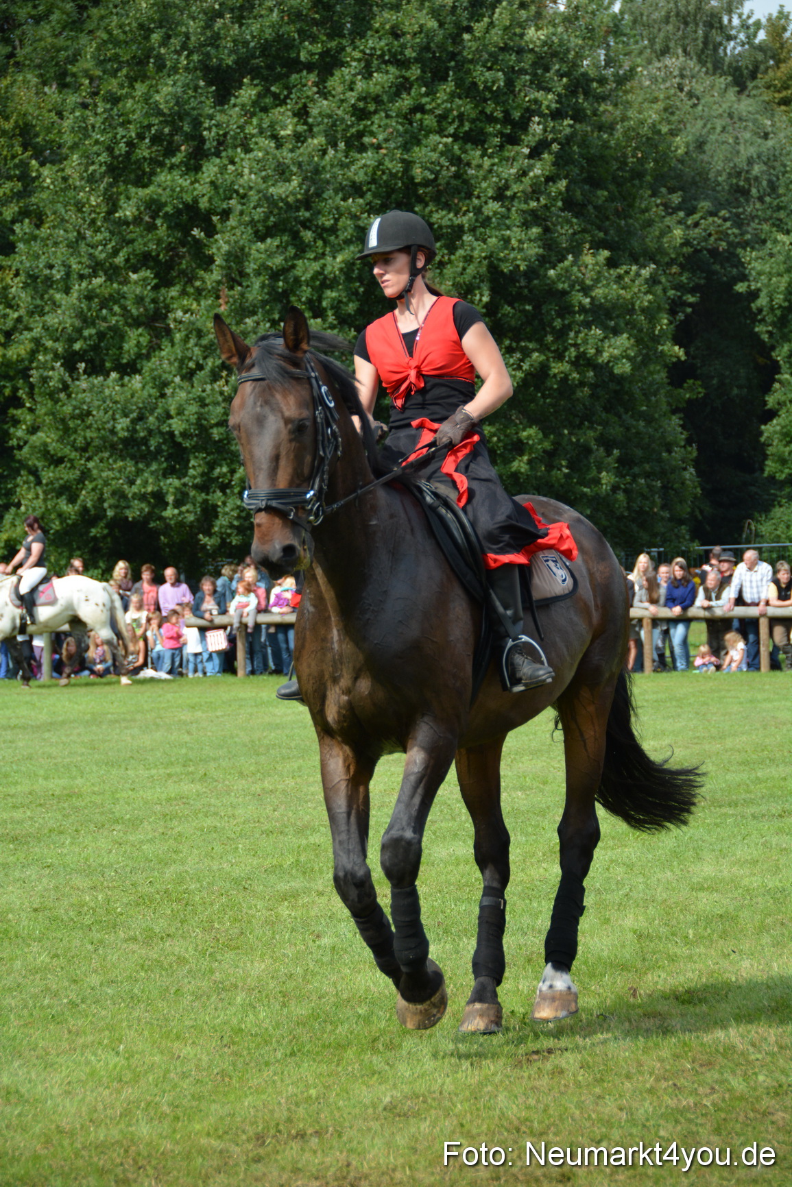 Pferdeschau JURA Volksfest 180814 0252