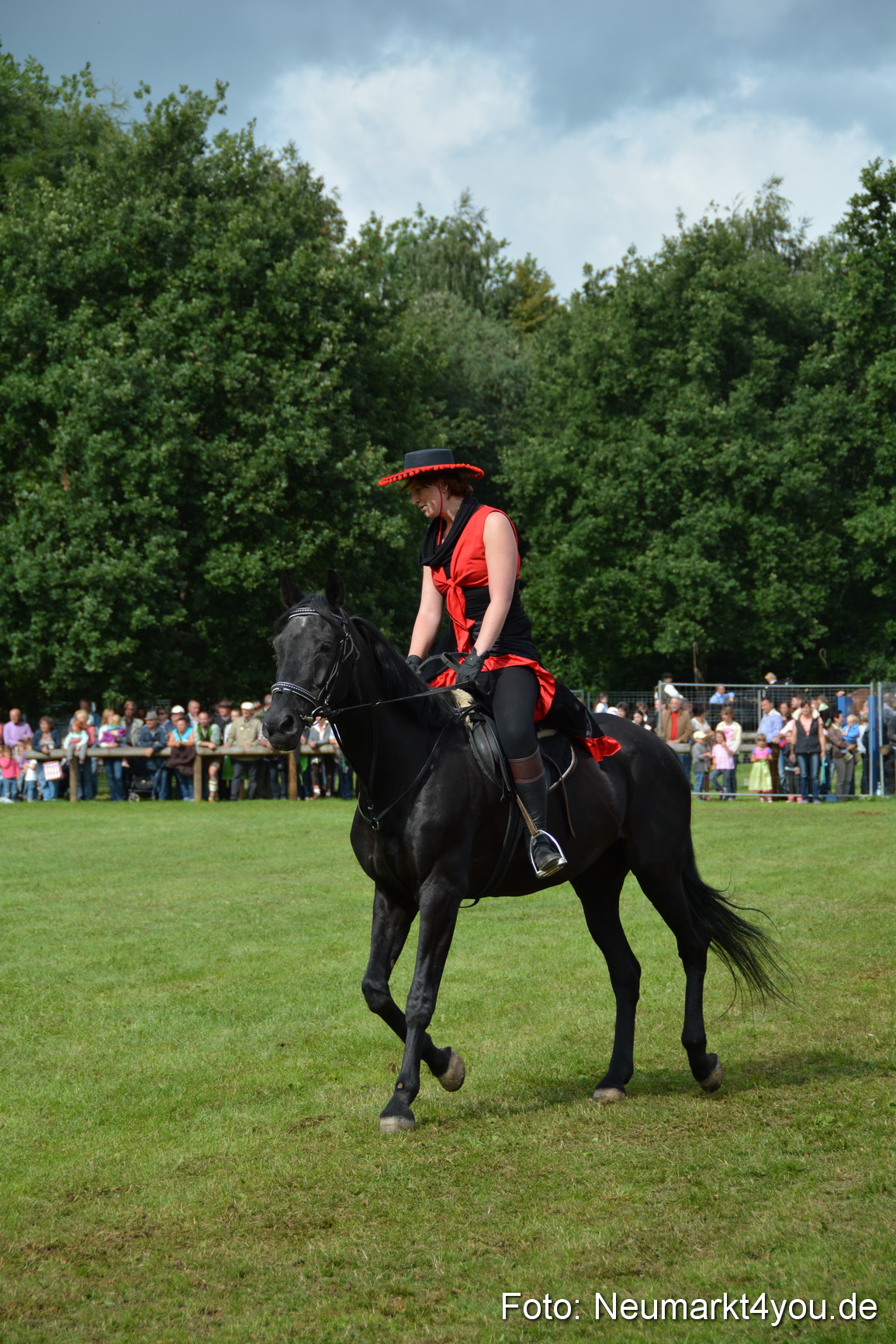 Pferdeschau JURA Volksfest 180814 0253