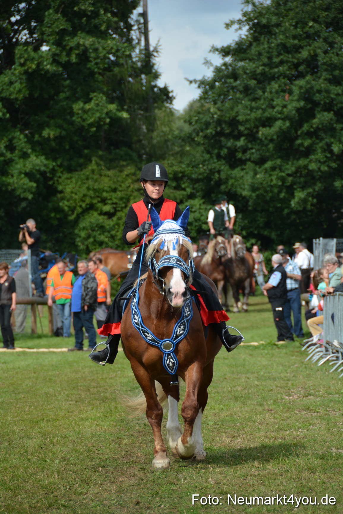 Pferdeschau JURA Volksfest 180814 0254