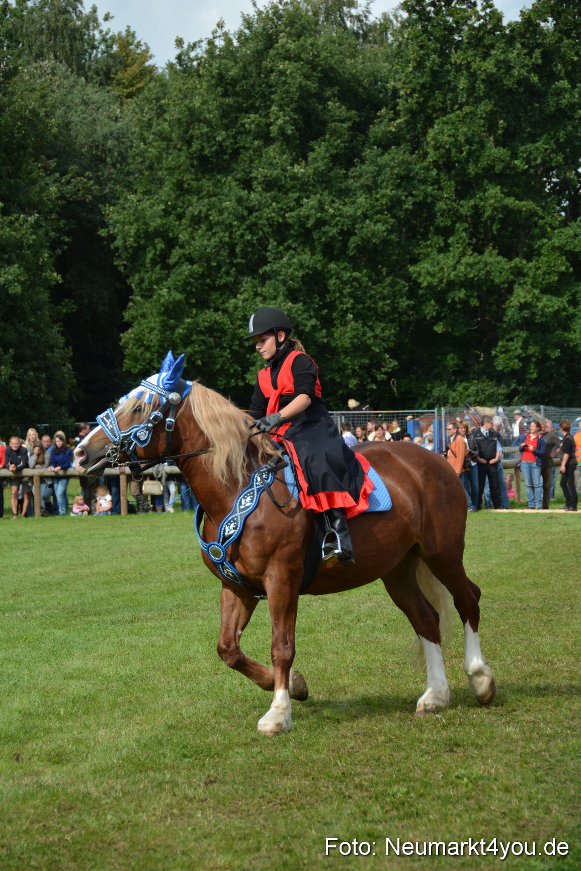 Pferdeschau JURA Volksfest 180814 0255