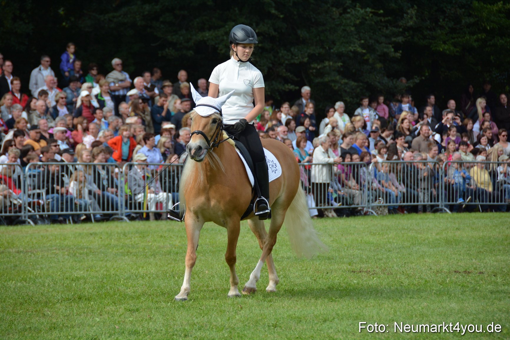 Pferdeschau JURA Volksfest 180814 0257