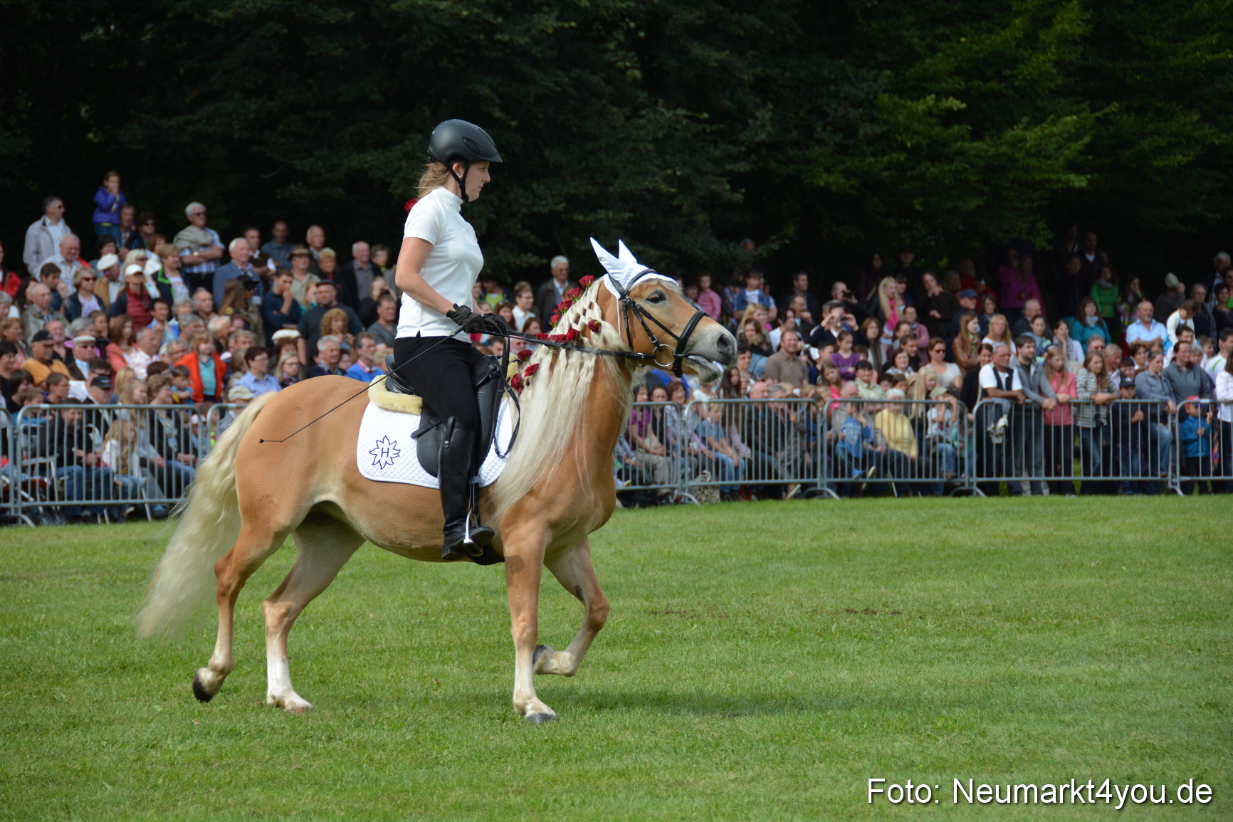 Pferdeschau JURA Volksfest 180814 0258