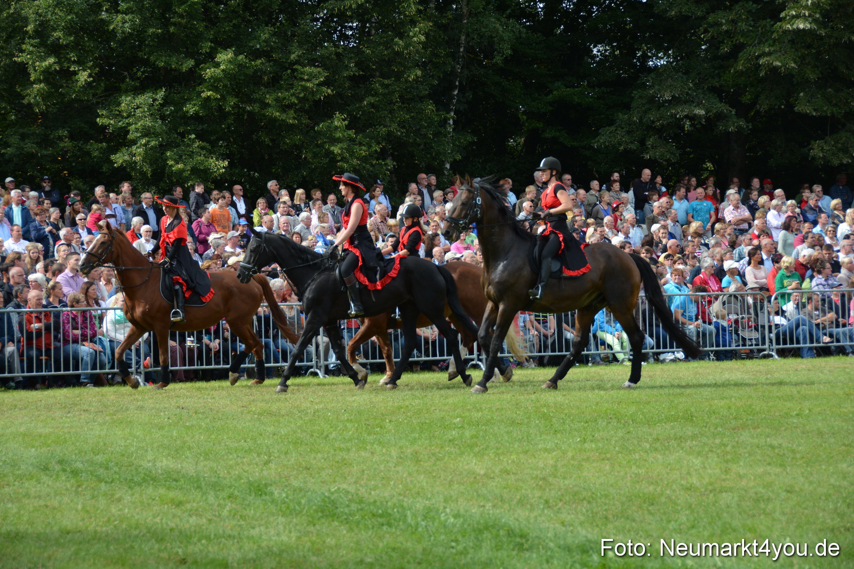 Pferdeschau JURA Volksfest 180814 0259