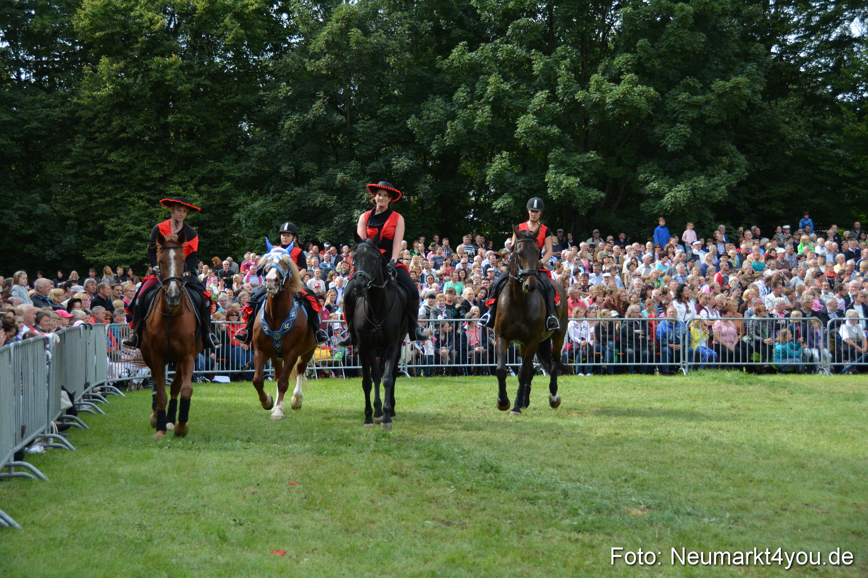 Pferdeschau JURA Volksfest 180814 0260