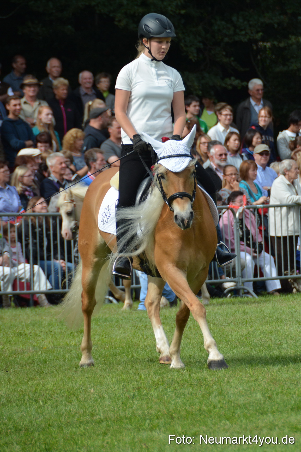 Pferdeschau JURA Volksfest 180814 0261