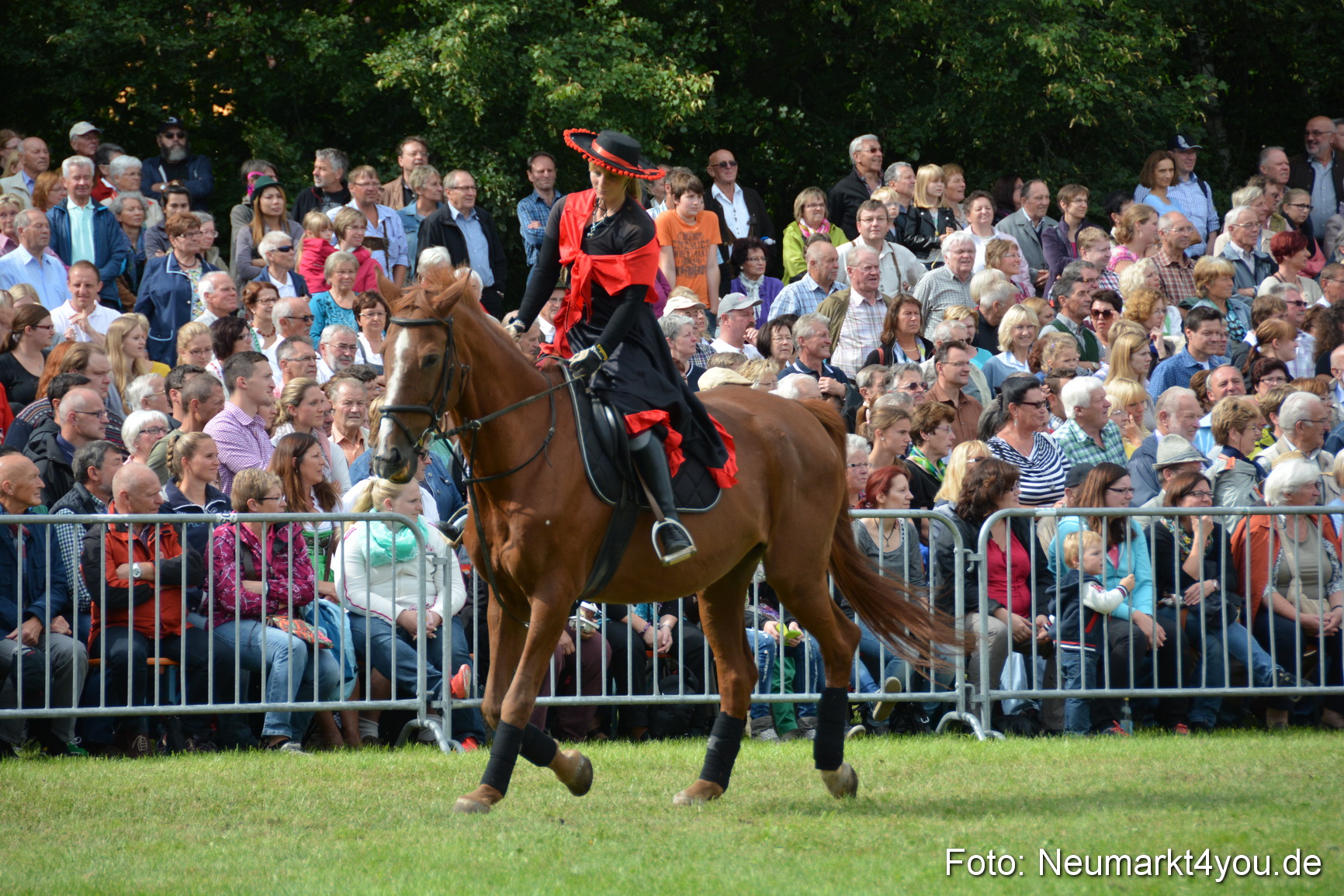 Pferdeschau JURA Volksfest 180814 0262