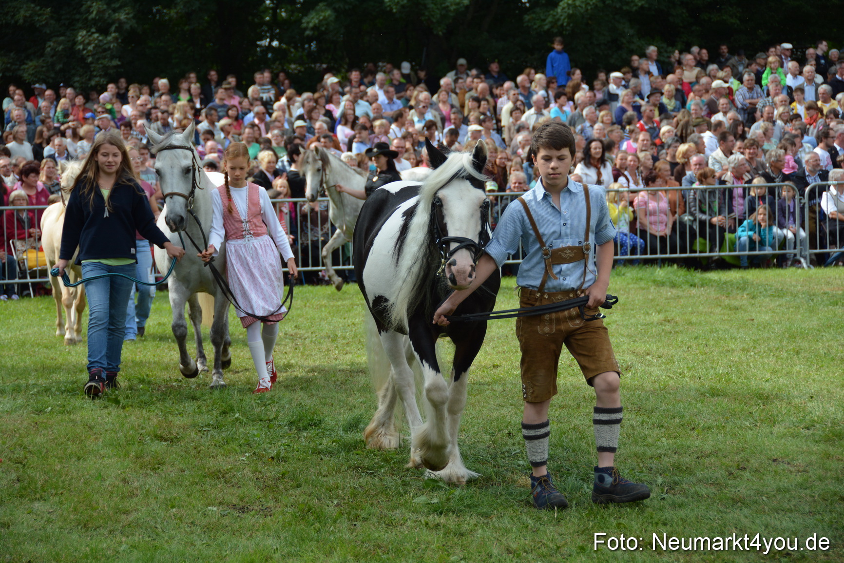 Pferdeschau JURA Volksfest 180814 0263