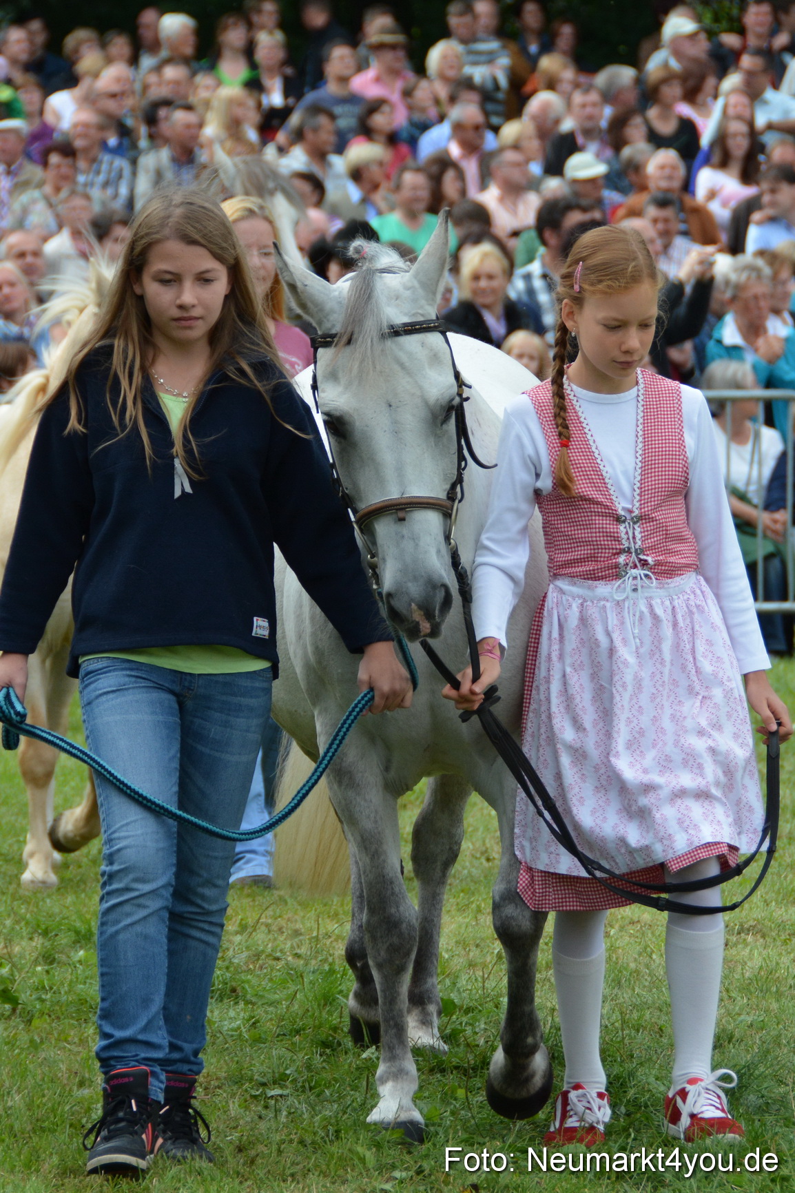 Pferdeschau JURA Volksfest 180814 0264