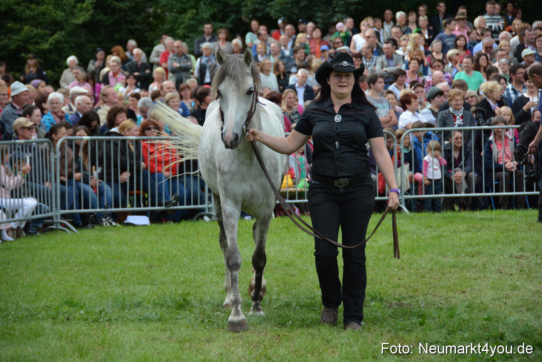 Pferdeschau JURA Volksfest 180814 0265