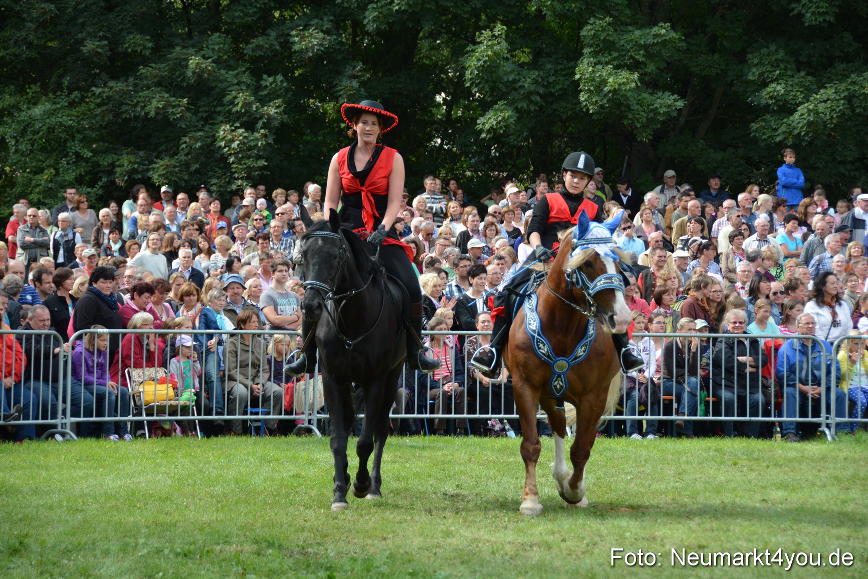 Pferdeschau JURA Volksfest 180814 0266