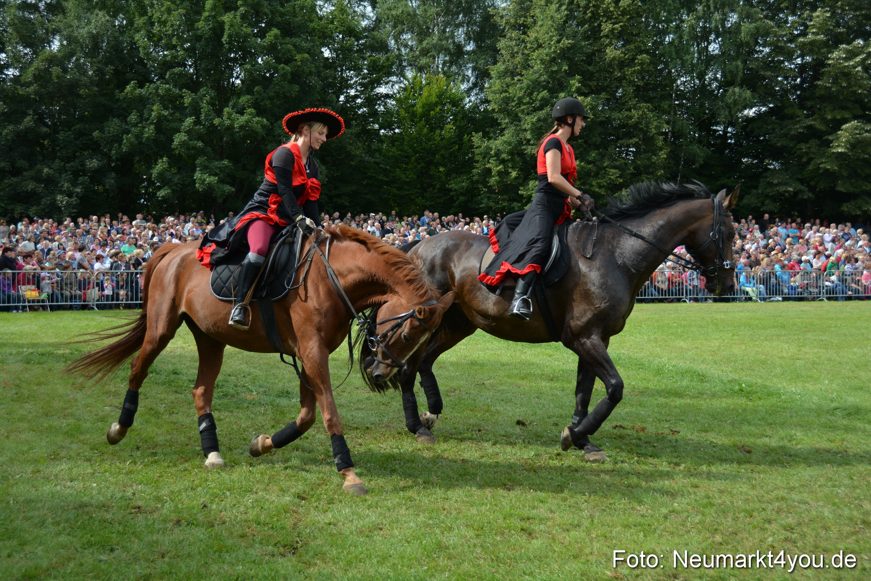 Pferdeschau JURA Volksfest 180814 0267