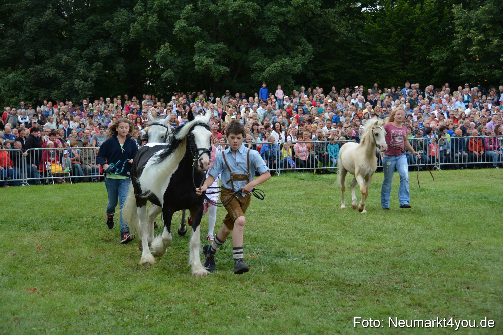 Pferdeschau JURA Volksfest 180814 0269