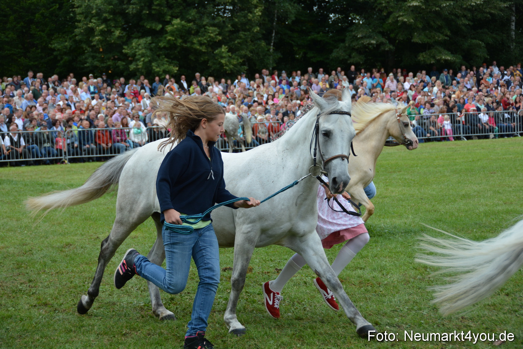 Pferdeschau JURA Volksfest 180814 0270