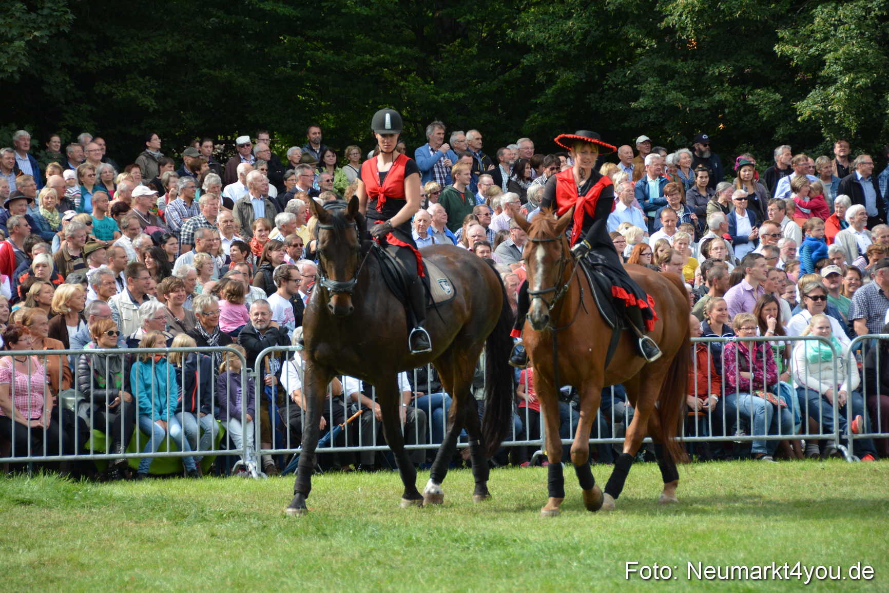Pferdeschau JURA Volksfest 180814 0271