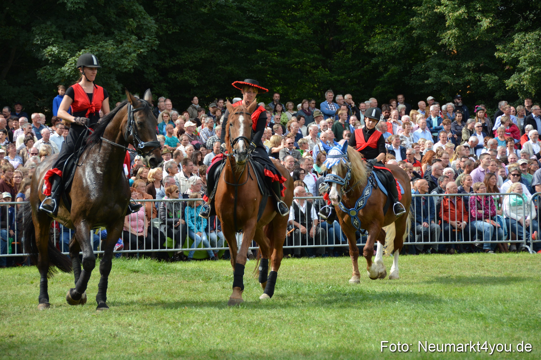 Pferdeschau JURA Volksfest 180814 0272