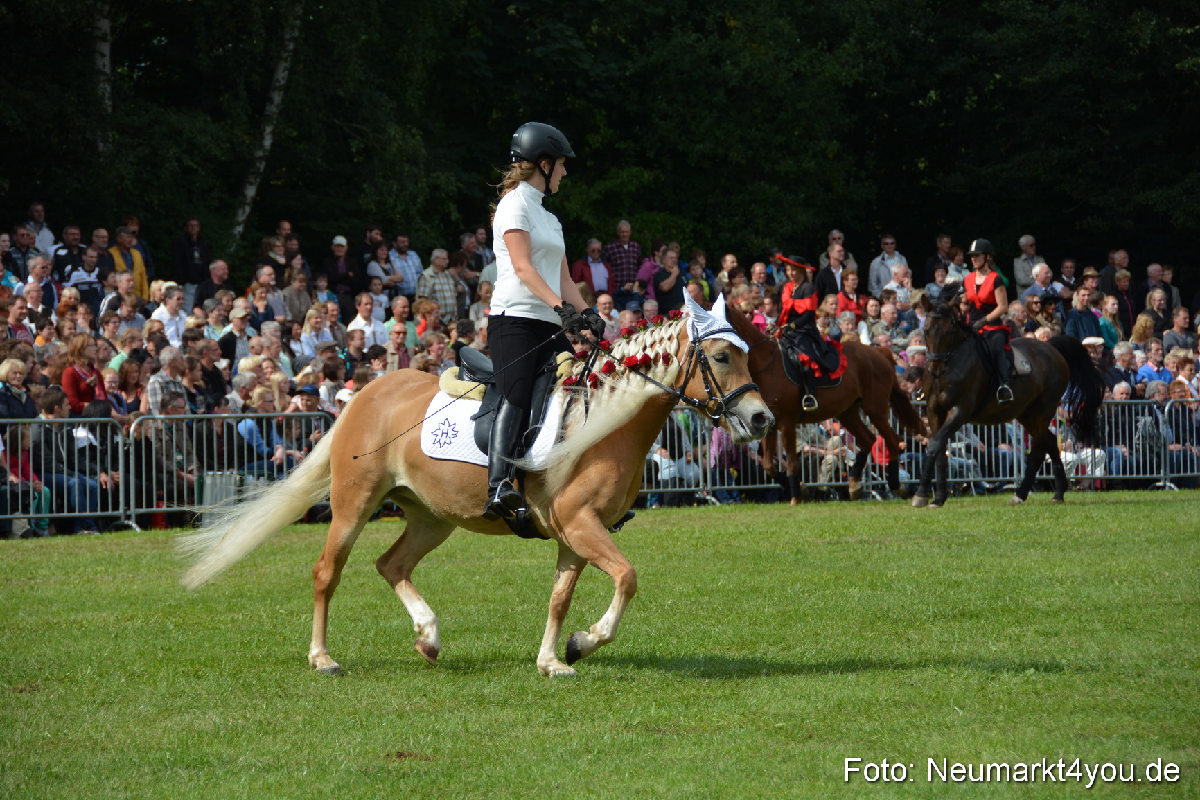 Pferdeschau JURA Volksfest 180814 0273