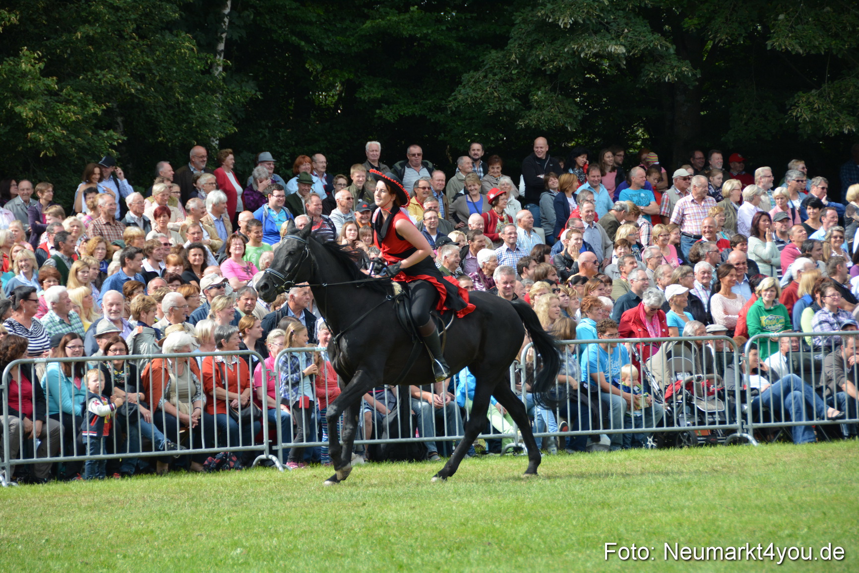 Pferdeschau JURA Volksfest 180814 0274