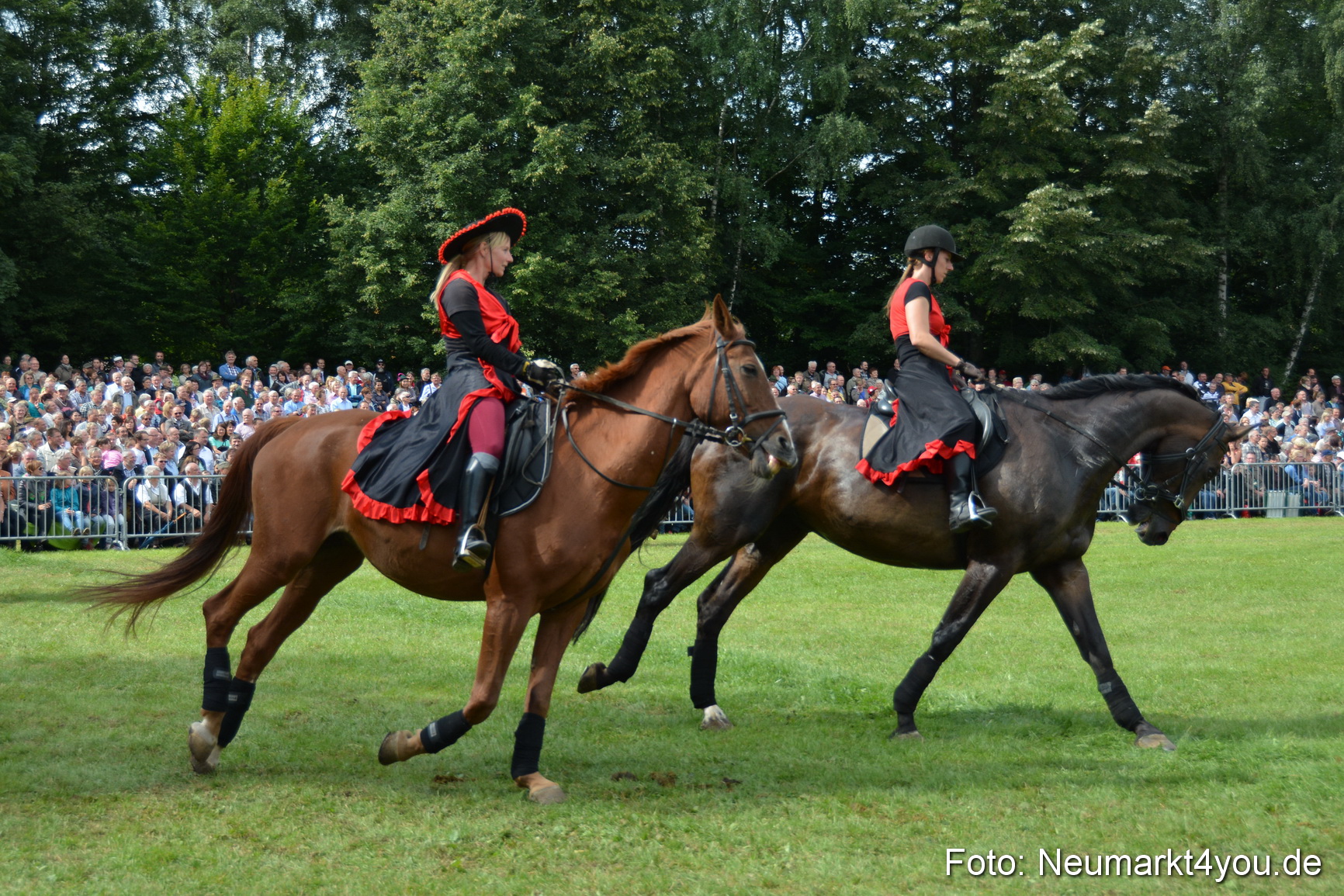 Pferdeschau JURA Volksfest 180814 0275