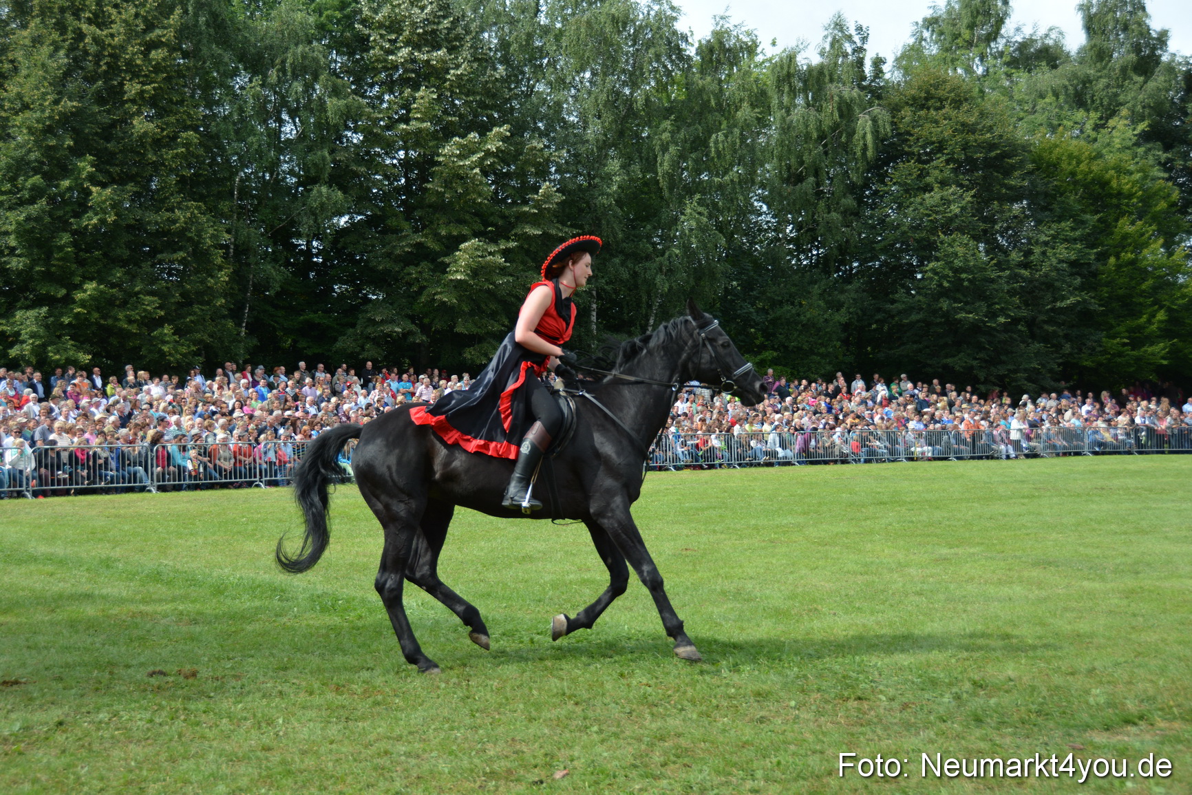 Pferdeschau JURA Volksfest 180814 0276