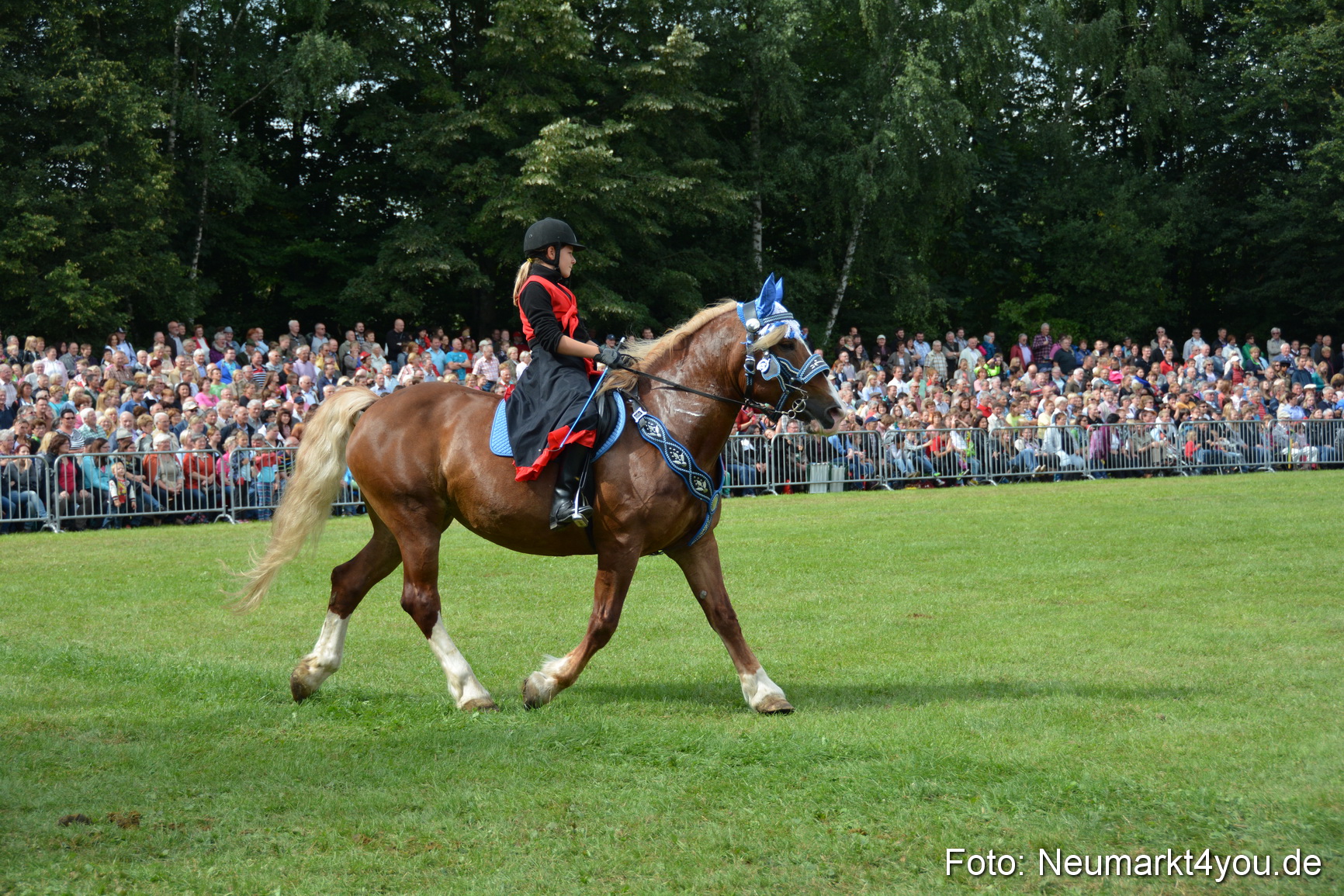 Pferdeschau JURA Volksfest 180814 0277