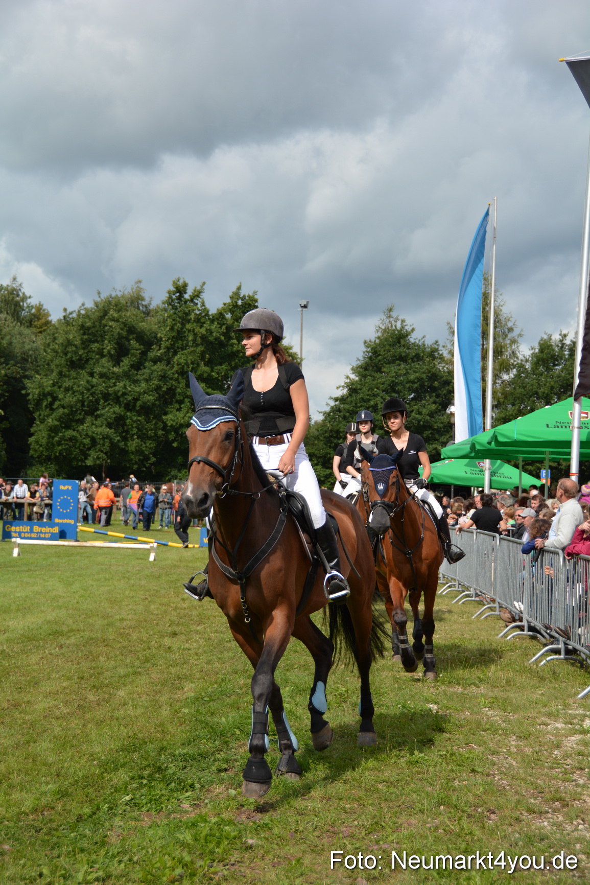Pferdeschau JURA Volksfest 180814 0278