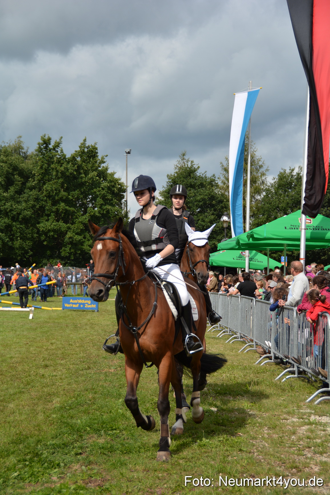 Pferdeschau JURA Volksfest 180814 0279