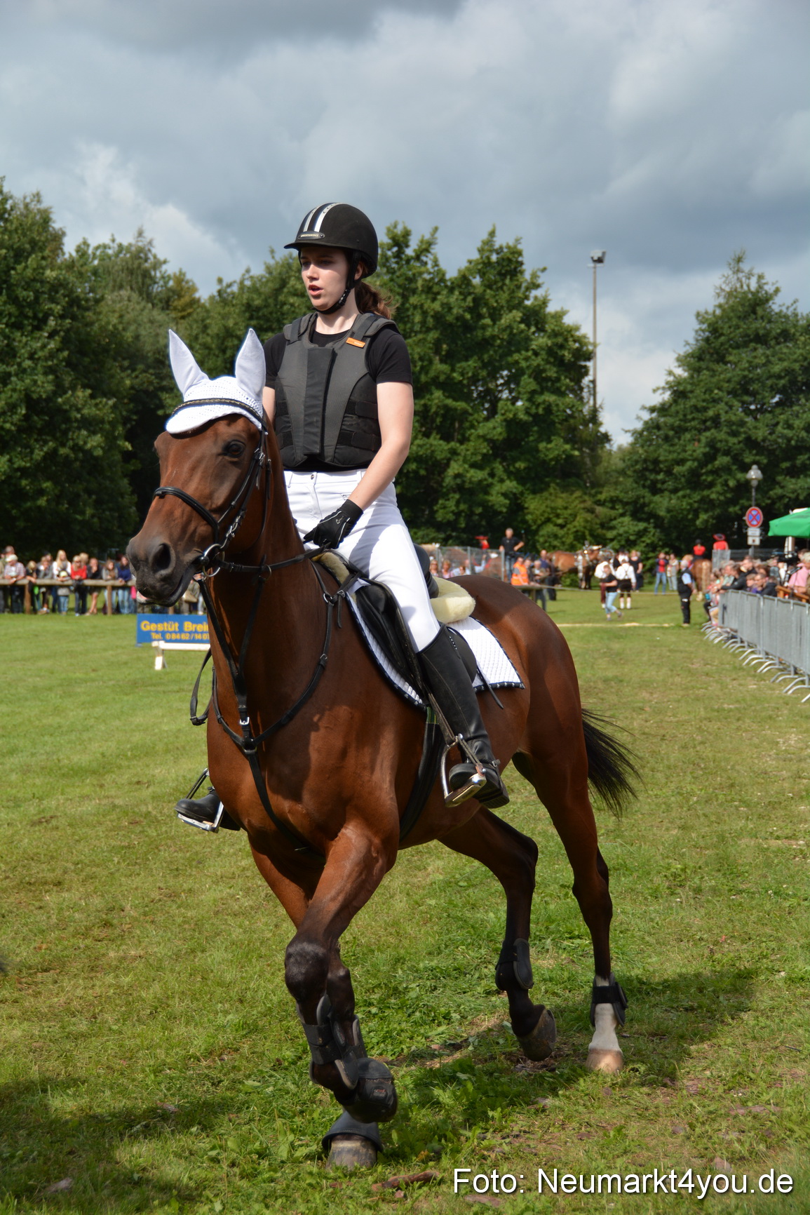 Pferdeschau JURA Volksfest 180814 0280