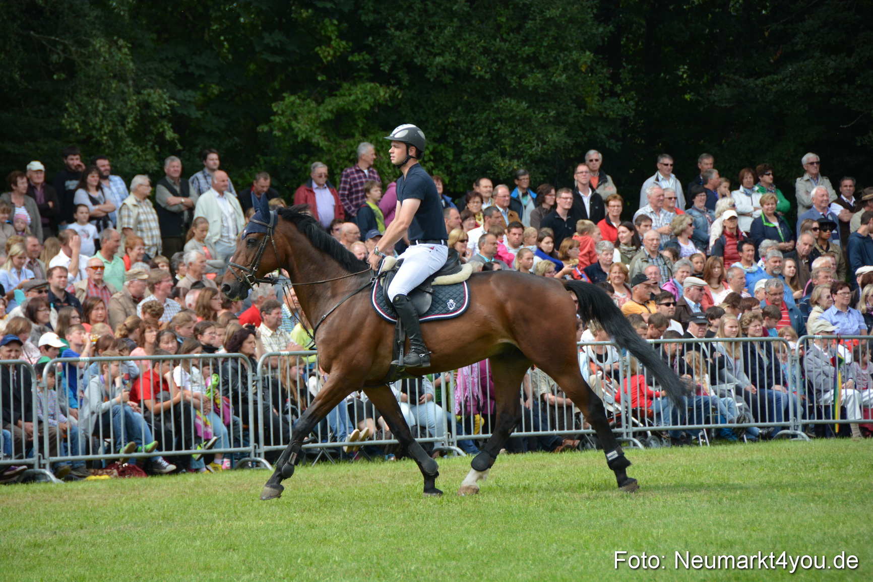 Pferdeschau JURA Volksfest 180814 0281