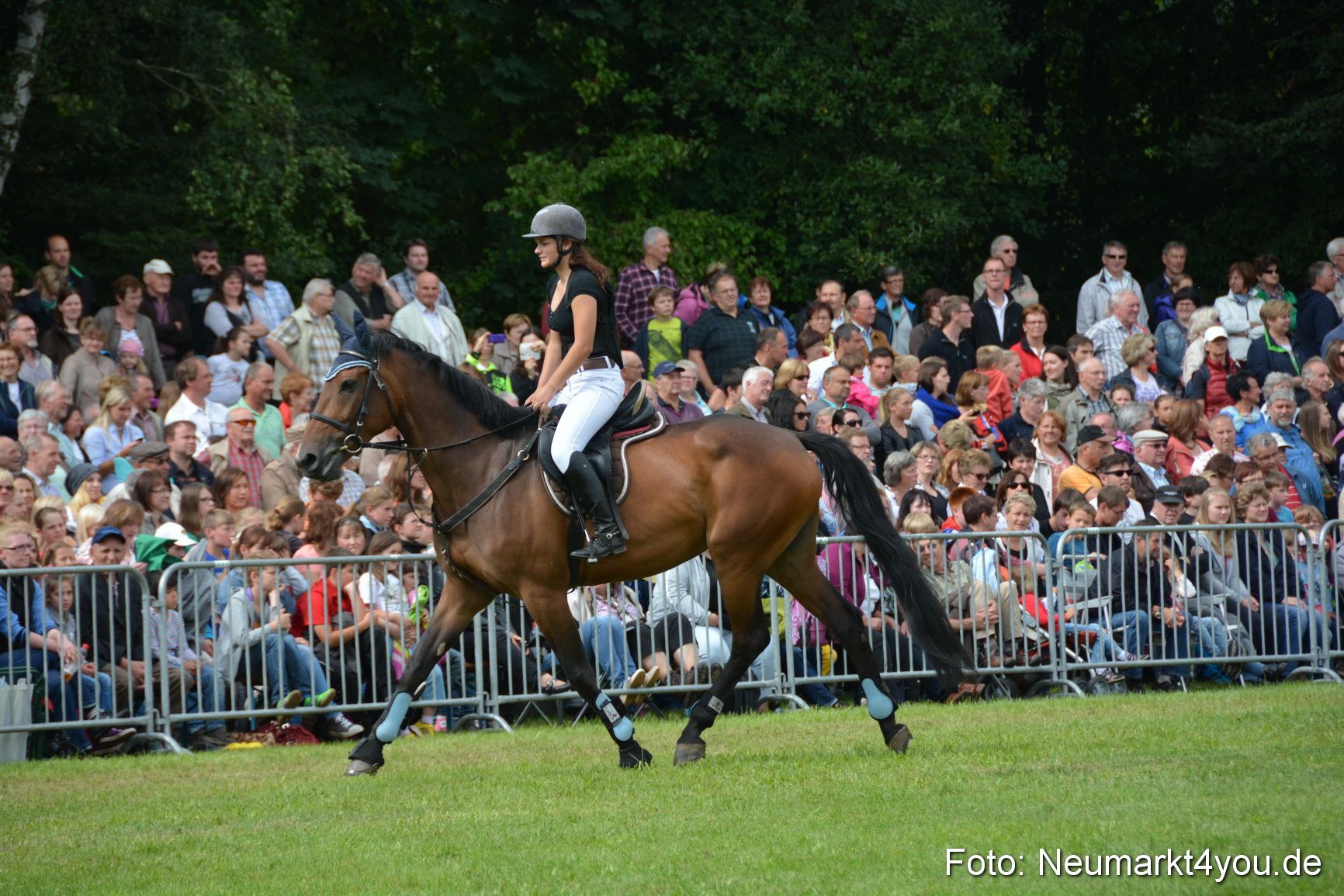 Pferdeschau JURA Volksfest 180814 0282
